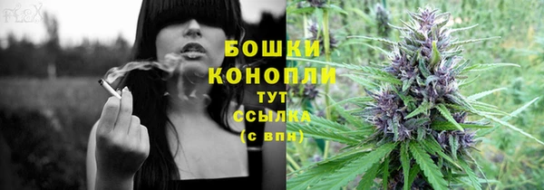 mdpv Арсеньев