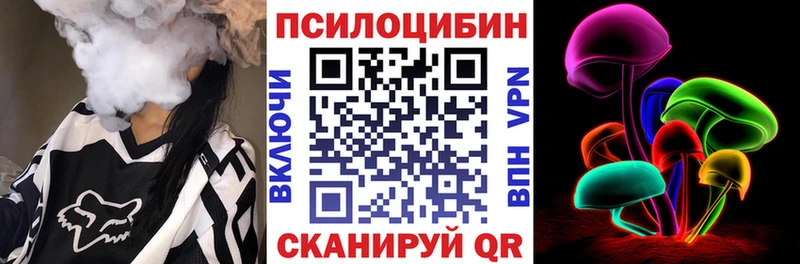 Псилоцибиновые грибы Psilocybine cubensis  Макушино 